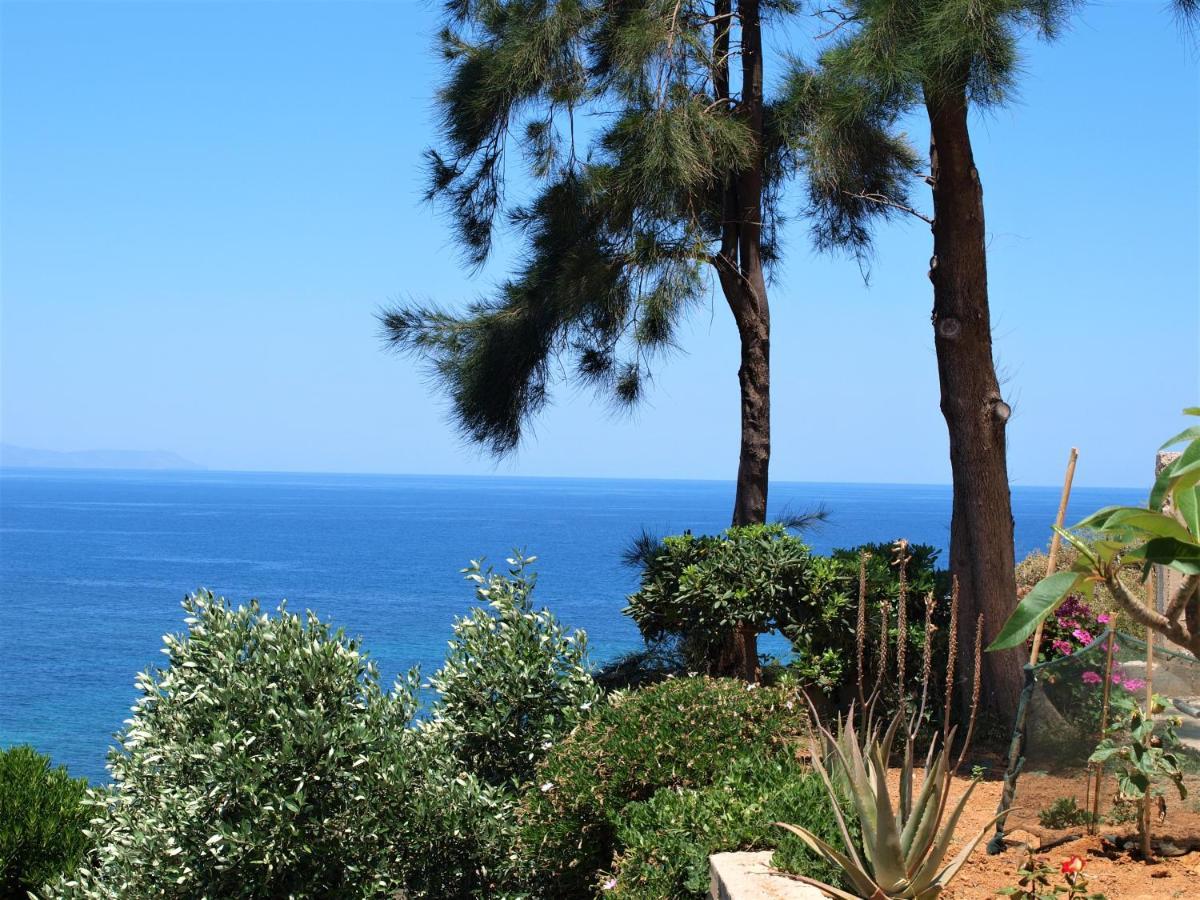 Emerald Apartment Halepa Χανιά Εξωτερικό φωτογραφία